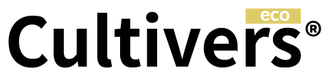 Web